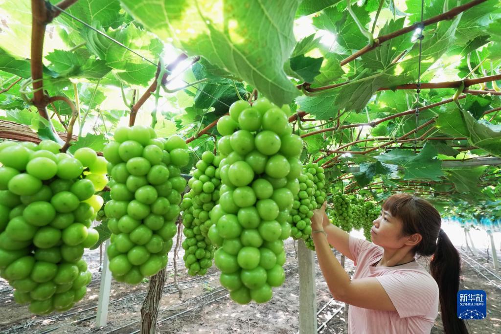 以小博大平台